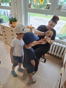 Bild (6)